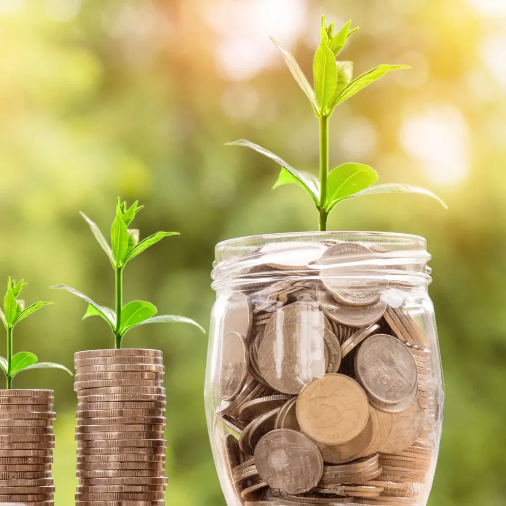 a plant growing from stacked coins, illustrating the concept of financial growth and investment as part of the 'Money and Finance' topics covered on the Smiat blog